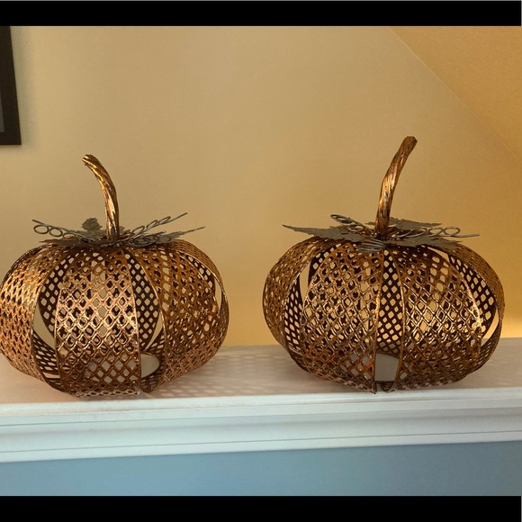 Other - Fall decorations  2 pumpkins